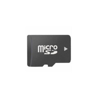 Micro SD card 4 GB DS