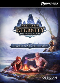 Pillars of Eternity: Expansion Pass (PC/MAC/LX) DIGITÁLIS PC
