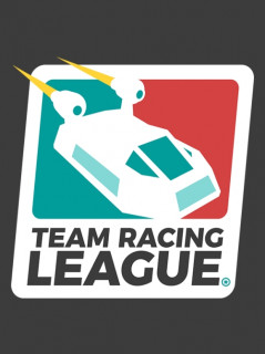 Team Racing League (PC) DIGITÁLIS EARLY ACCESS PC