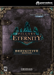 Pillars of Eternity: Definitive Edition (PC) DIGITÁLIS PC