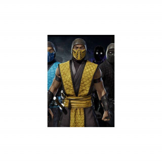 Mortal Kombat 11 Klassic Arcade Ninja Skin Pack 1 (PC) Letölthető (Steam kulcs) PC