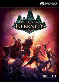Pillars of Eternity: Champion Edition (PC) Letölthető PC