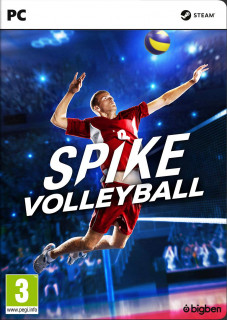 Spike Volleyball PC