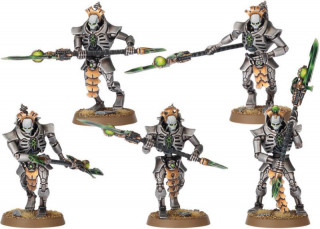 Necron Lychguard/Triarch Praetorians Játék