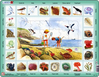 Larsen maxi puzzle 48 db-os Tengerpartok élővilága (magyar nyelvű) NA2 