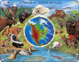 Észak-Amerika állatvilága AW3 - angol 
