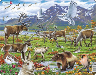 Larsen maxi puzzle 50 db-os Skandinávia állatvilága FH14 