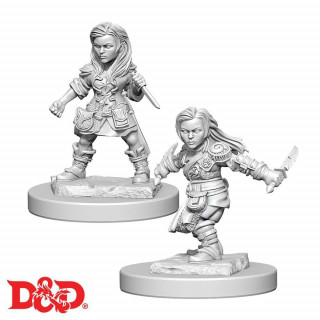 D&D Nolzurs Marvelous Miniatures: Halfling Female Rogue Játék