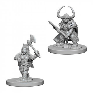 D&D Nolzur's Marvelous Miniatures: Dwarf Female Barbarian Játék