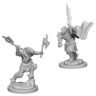 D&D Nolzur's Marvelous Miniatures: Dragonborn Female Fighter Játék