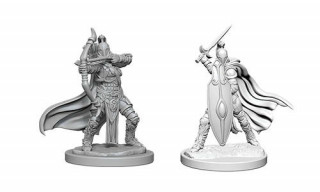 Pathfinder Deep Cuts: Female Knights / Gray Maidens Játék