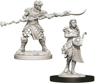 D&D Nolzur's Marvelous Miniatures: Yuan-ti Purebloods Játék