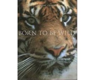 Born to be wild könyv Ajándéktárgyak