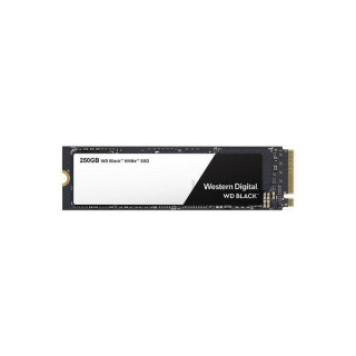 Western Digital 250GB M.2 2280 3D Black (WDS250G2X0C) SSD PC