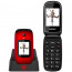 Evolveo EasyPhone EP-700 FD Red thumbnail
