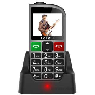 EVOLVEO Easy Phone 800 FMR 2,3" Dual SIM ezüst mobiltelefon Mobil