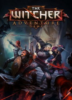 The Witcher Adventure Game PC