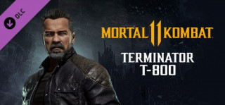 Mortal Kombat 11 Terminator T-800 (Steam kulcs) (Letölthető) 
