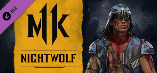 Mortal Kombat 11 Nightwolf (Letölthető) PC