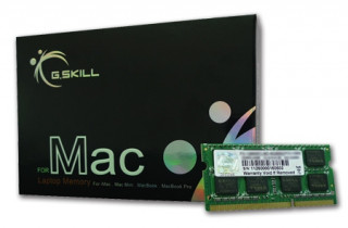 G.Skill 4GB DDR3 1 x 4 GB 1066 Mhz Ram PC