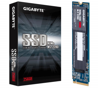 Gigabyte 256GB M.2 2280 NVMe GP-GSM2NE3256GNTD 