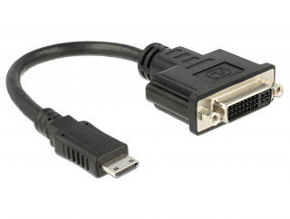 DeLock Adapter HDMI Mini-C male > DVI 24+5 female 20cm PC