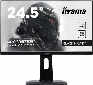 Iiyama GB2530HSU-B1 Gaming 25" 