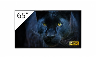 Sony Bravia FWD-65A8/T 65’’ 4K Android OLED kijelző, Tuner 