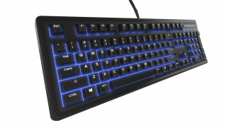 SteelSeries Apex 100 billentyűzet 