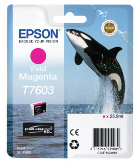 Epson T7603 - Magenta PC