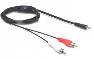 DeLock Cable Audio 3.5 mm stereo jack male > 2x RCA male 5m PC