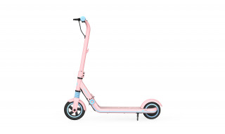 Segway-Ninebot Kickscooter Zing E8 (Pink) 