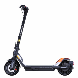 Segway KickScooter P65E 