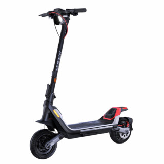 Segway KickScooter P100SE 