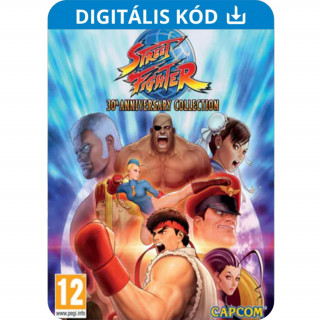 Street Fighter 30th Anniversary Collection (PC) (Letölthető) + Ultra Street Fighter IV! PC