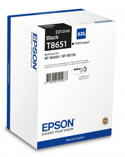 Epson T8651 - Fekete PC