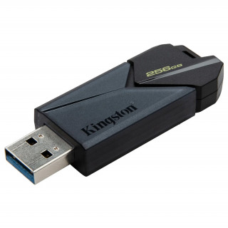 Kingston Data Traveler Exodia Onyx 256GB USB 3.2 (DTXON/256GB) 