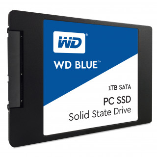 Western Digital Blue 1TB SSD (WDS100T1B0A) PC