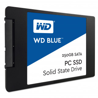 Western Digital Blue 250GB (WDS250G1B0A) PC