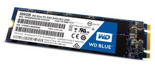 Western Digital Blue 500GB SSD (WDS500G1B0B) PC