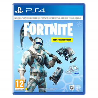 Fortnite: Deep Freeze Bundle PS4