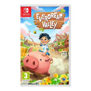 Everdream Valley Switch