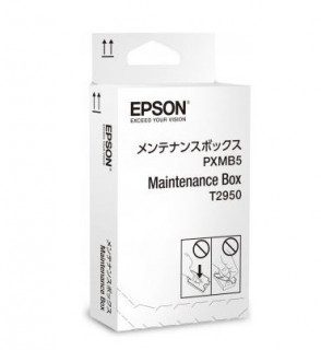 Epson Maintenance Box | WorkForce WF-100W 